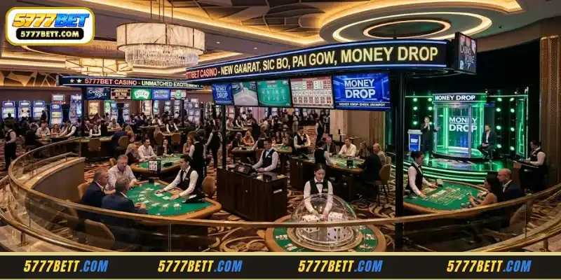 Frequently Reported Issues on Evolution Casino