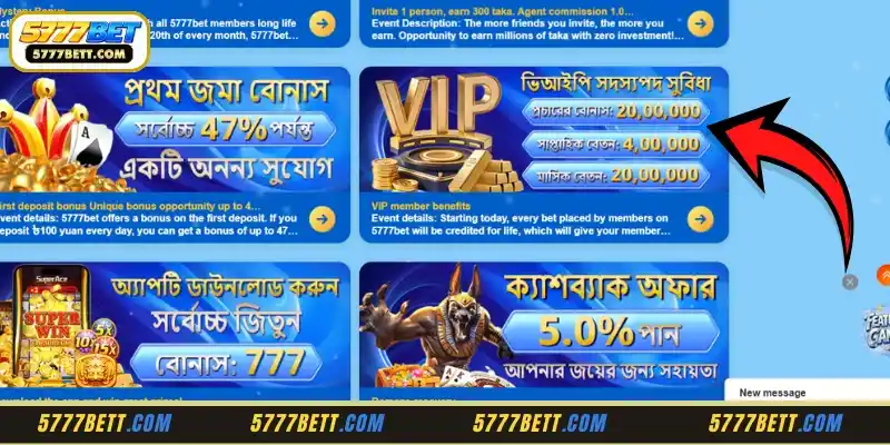 Lifetime Account Escalation and VIP Member Benefits