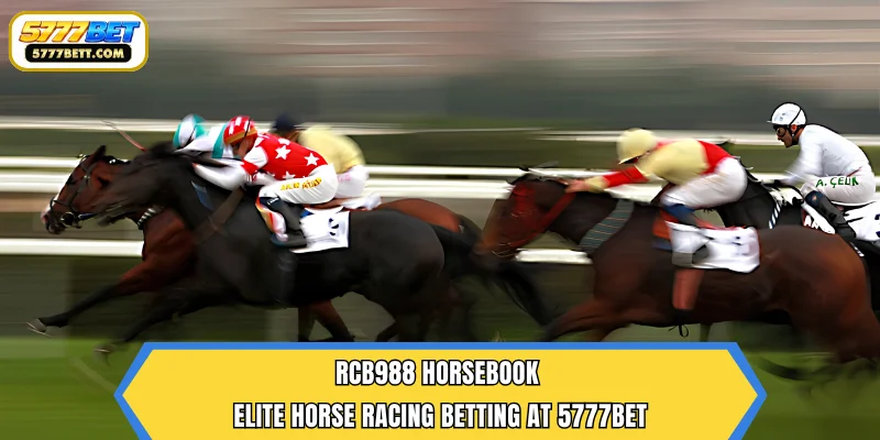 RCB988 Horsebook | Elite Horse Racing Betting at 5777Bet