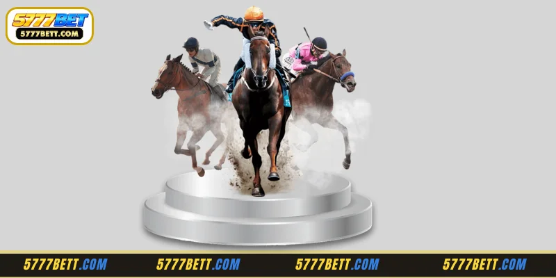 Update on betting types at RCB988 Horsebook